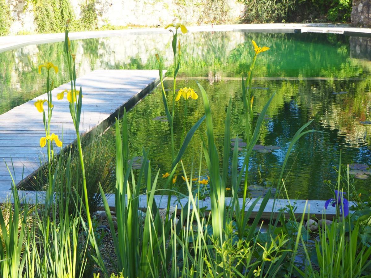 Maison Terre Les Cabanes De Fallot - Sauna Bain-Froid Piscine Naturelle L'isle-Bouzon Exterior foto